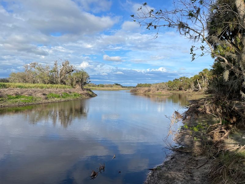 Myakka River State Park, Sarasota