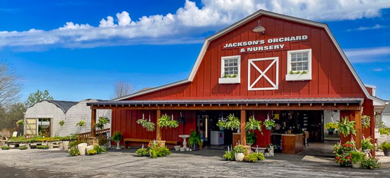 Jackson's Orchard & Nursery