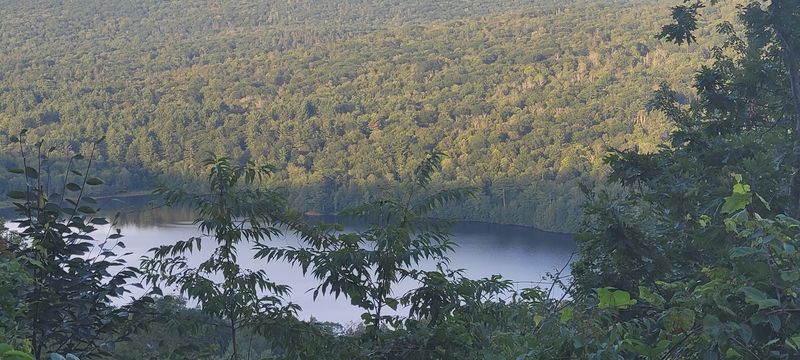 Forests, Farms, And Open Landscapes