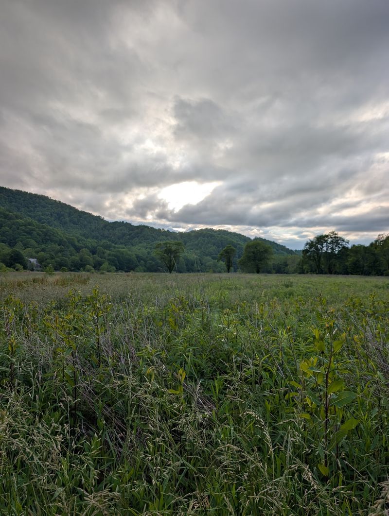 Mountain Scenery Turns Even A Short Visit Into A Proper Blue Ridge Escape