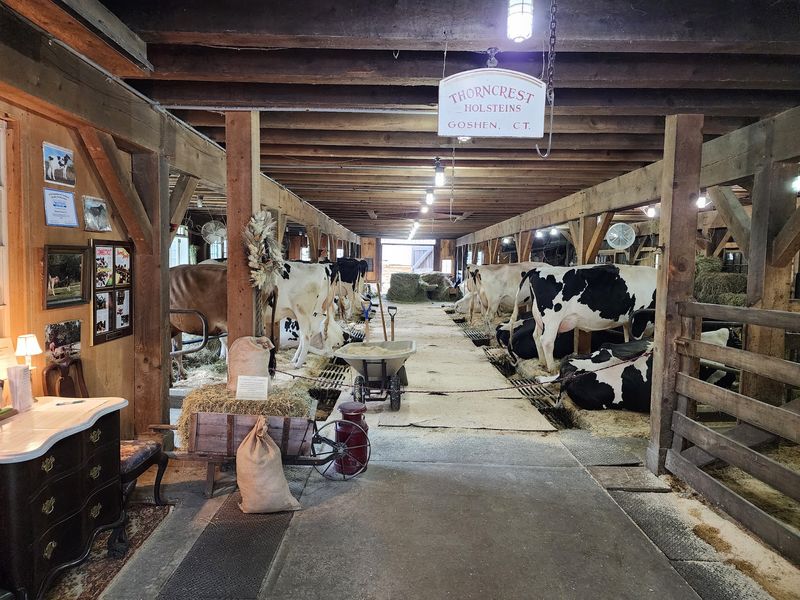 Local Farms And Rural Traditions