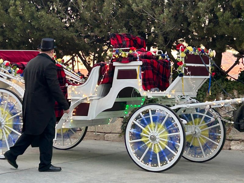 Private Events Turn The Carriage Into More Than Just A Sightseeing Ride