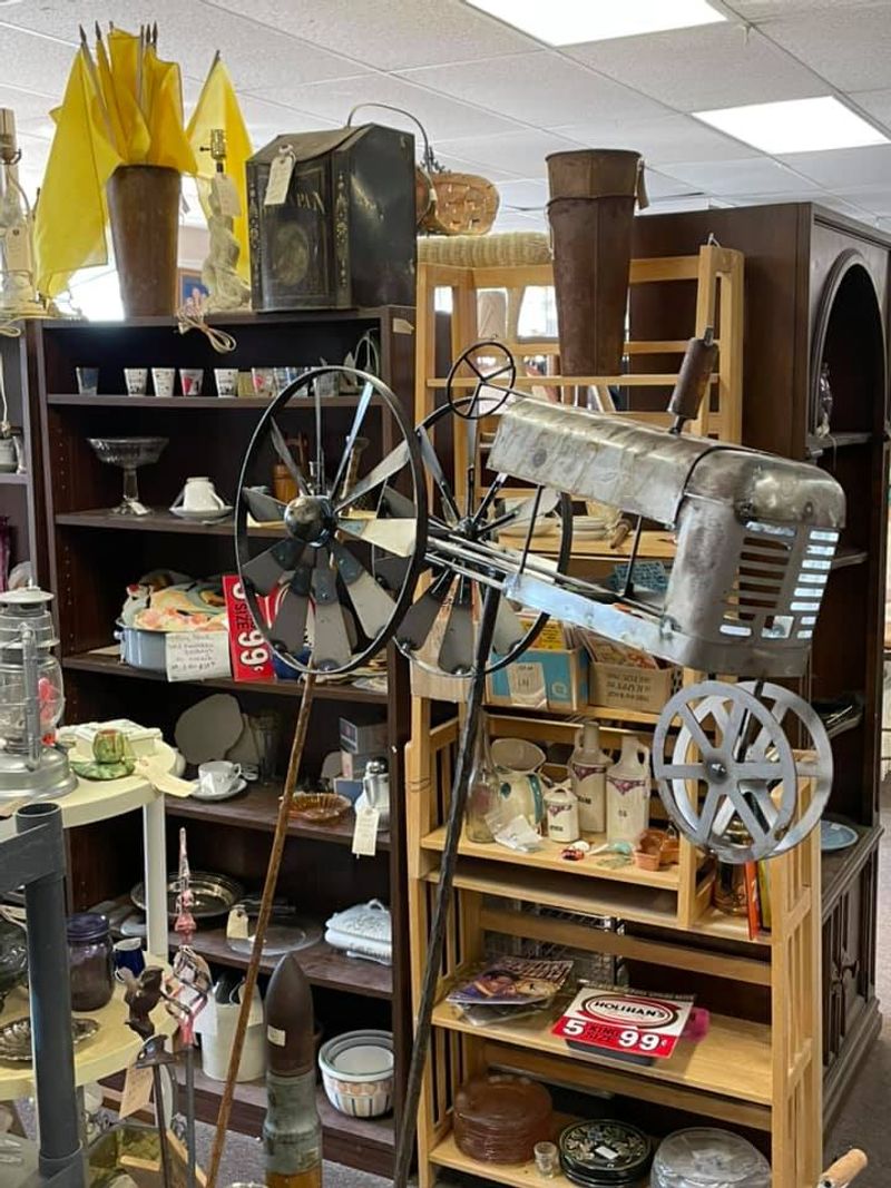 Odd Little Treasures You Never Knew Existed