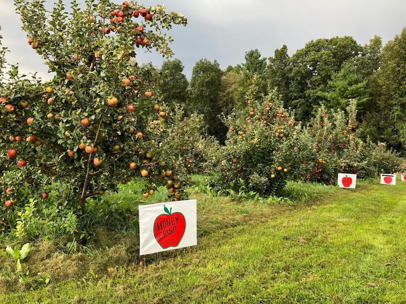 10 Fruit Farms In Connecticut That Belong On Your Summer Bucket List - Decor Hint Buell's Orchard, Eastford