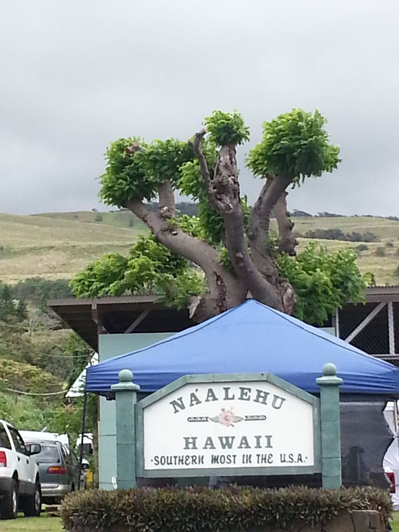 Naalehu