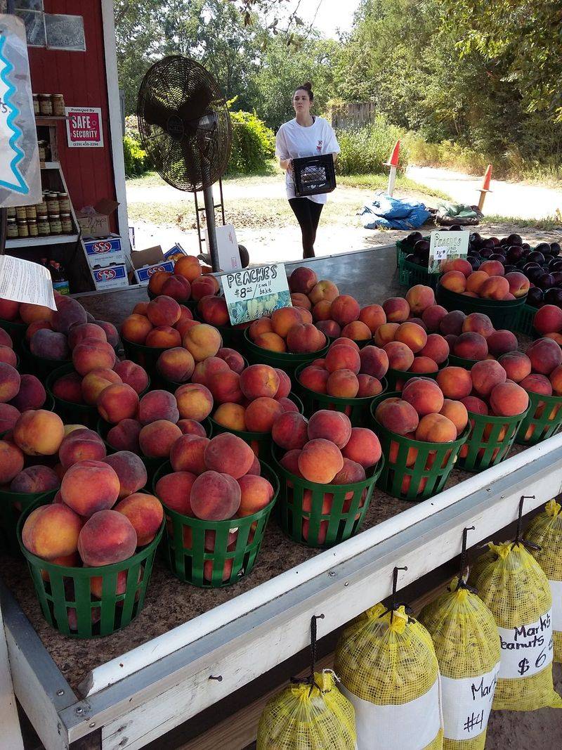 This Georgia Farm Market Is Packed With Homemade Jam, Fresh Fudge, And Local Specialties - Decor Hint Fresh Georgia Peaches