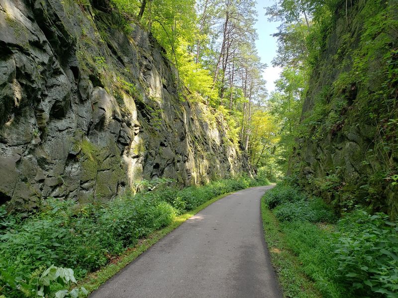 Blackhand Gorge State Nature Preserve, Heath
