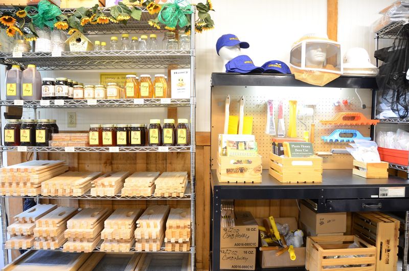 Everything A New Beekeeper Needs