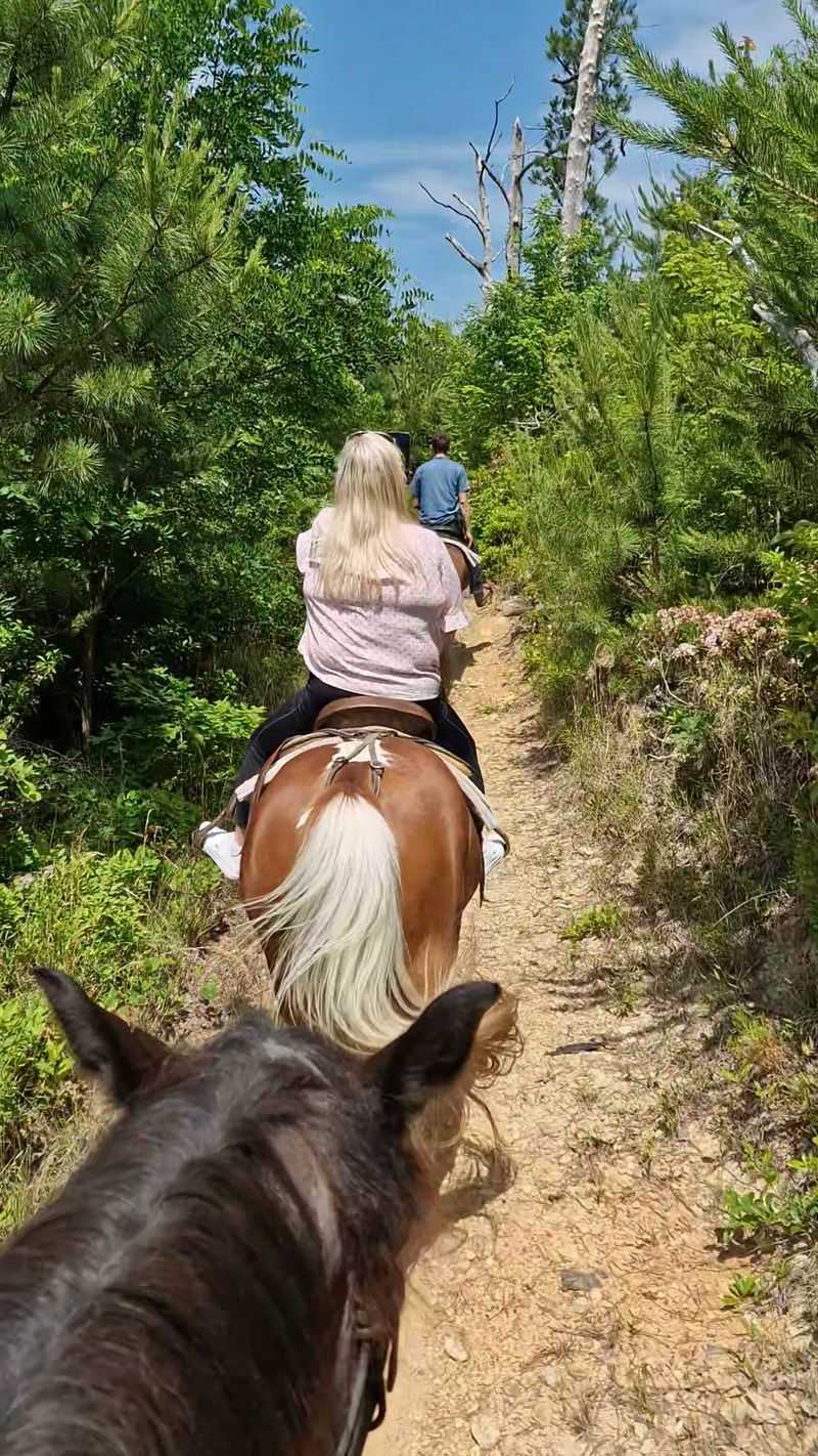 Guides Who Know The Woods