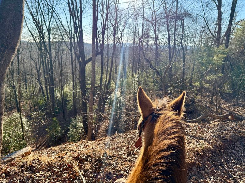 Blue Ridge Foothills Scenery That Keeps Changing