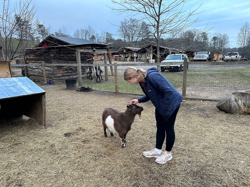 A Little Farm Fun Waits Beyond The Trail