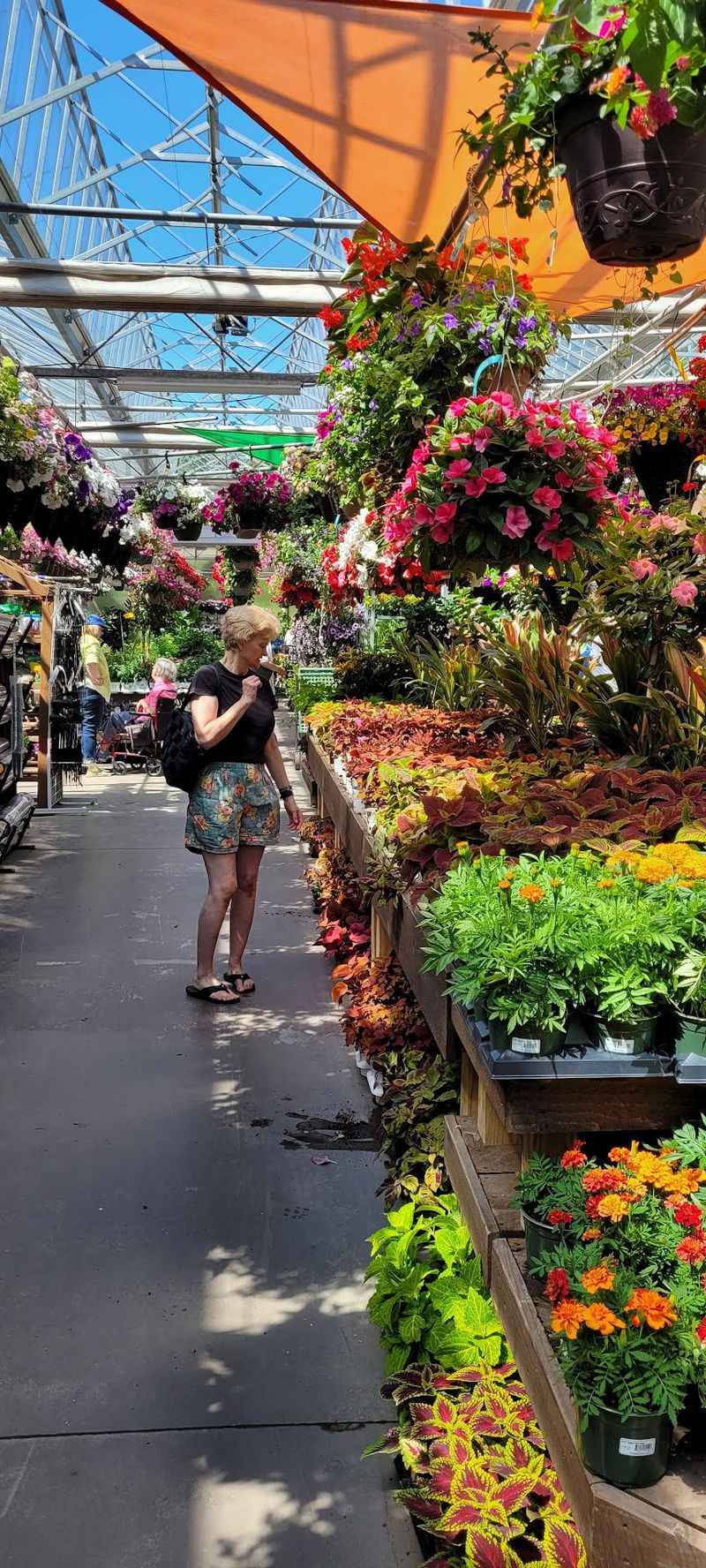 Seasonal Surprises Through Every Month