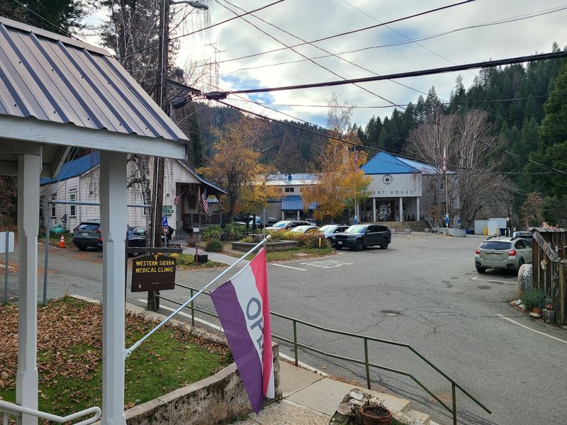 Take Garbage Seriously In Bear Country