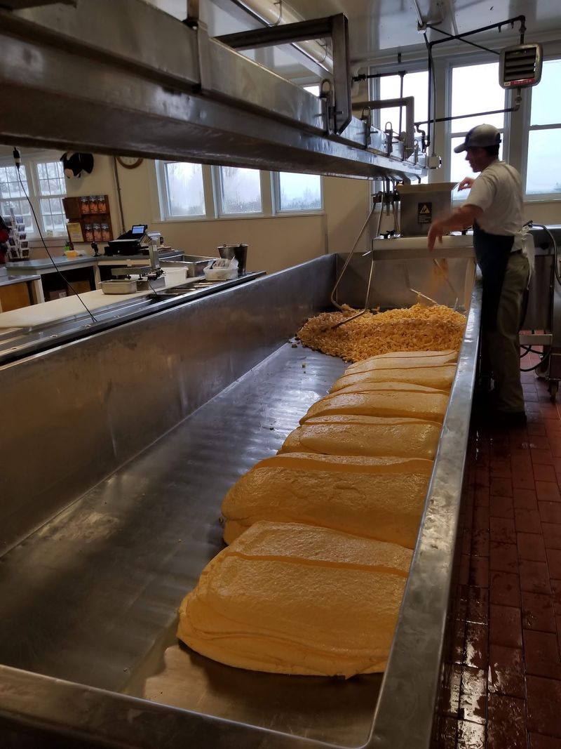 Curds, Cheddars, And Beyond