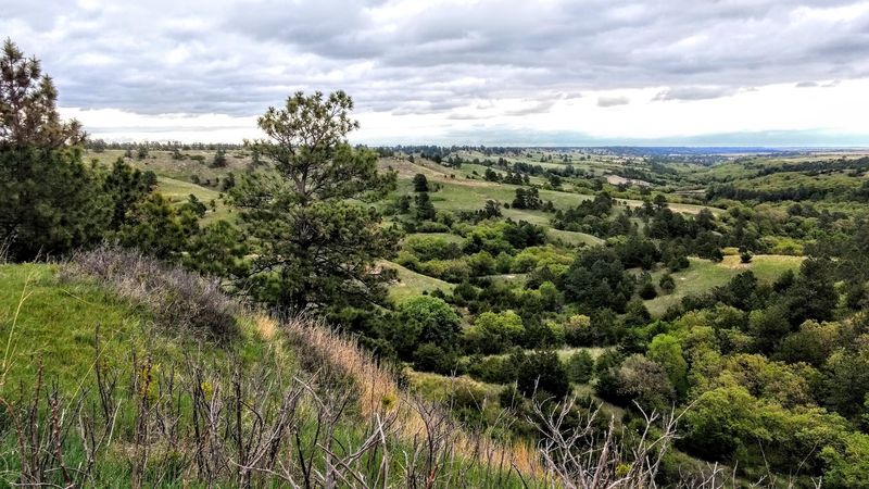 Counting The Cats Documented In The Niobrara Valley