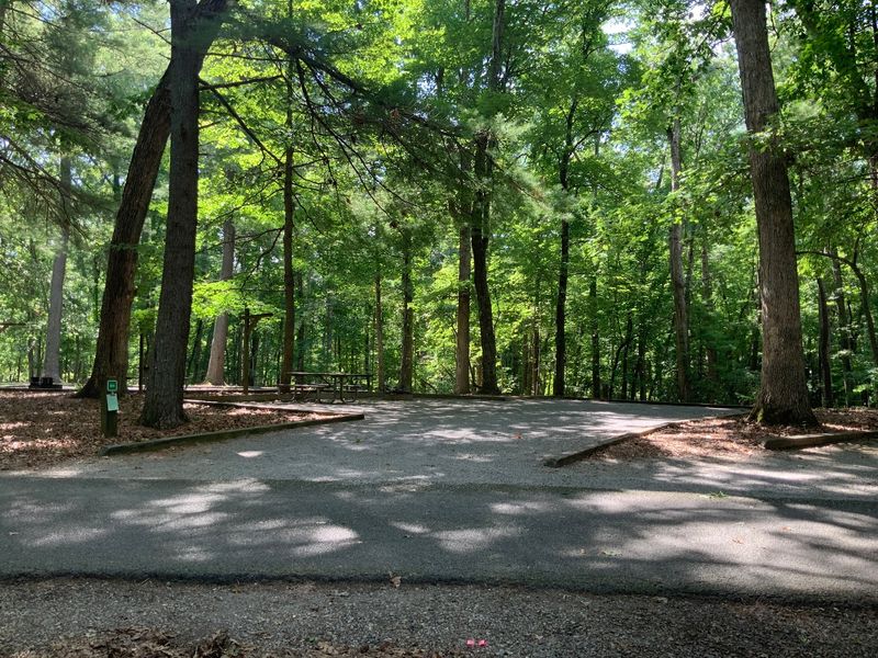 Claytor Lake State Park, Claytor Lake Trail, Dublin
