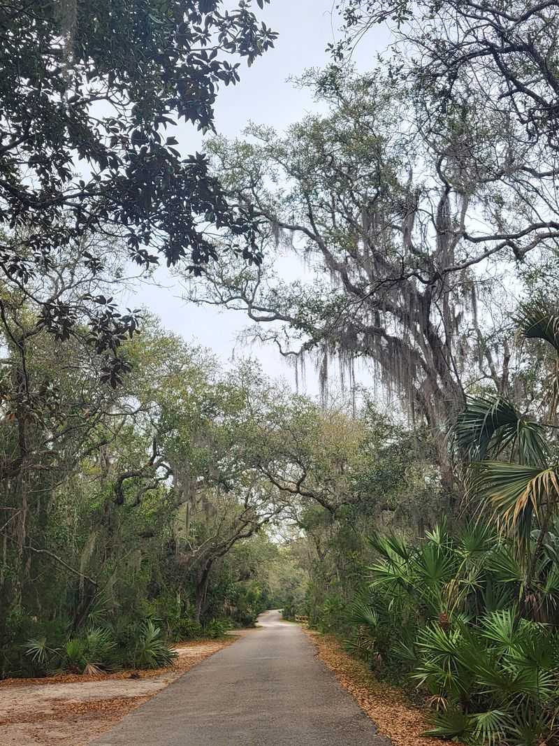 Anastasia State Park, St. Augustine