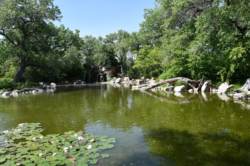 Native Plants And Wild Neighbors
