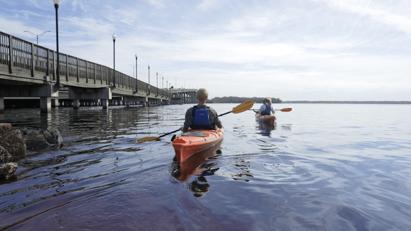 10 Scenic Florida Road Trips That Capture The Best Of The Sunshine State - Decor Hint William Bartram Scenic Highway, Palatka To DeLand Along The St. Johns River