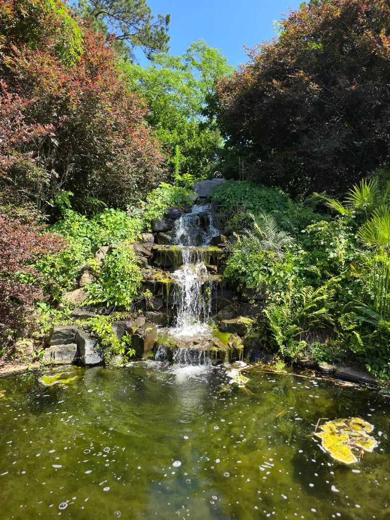 Coastal Georgia Botanical Gardens At The Historic Bamboo Farm, Savannah