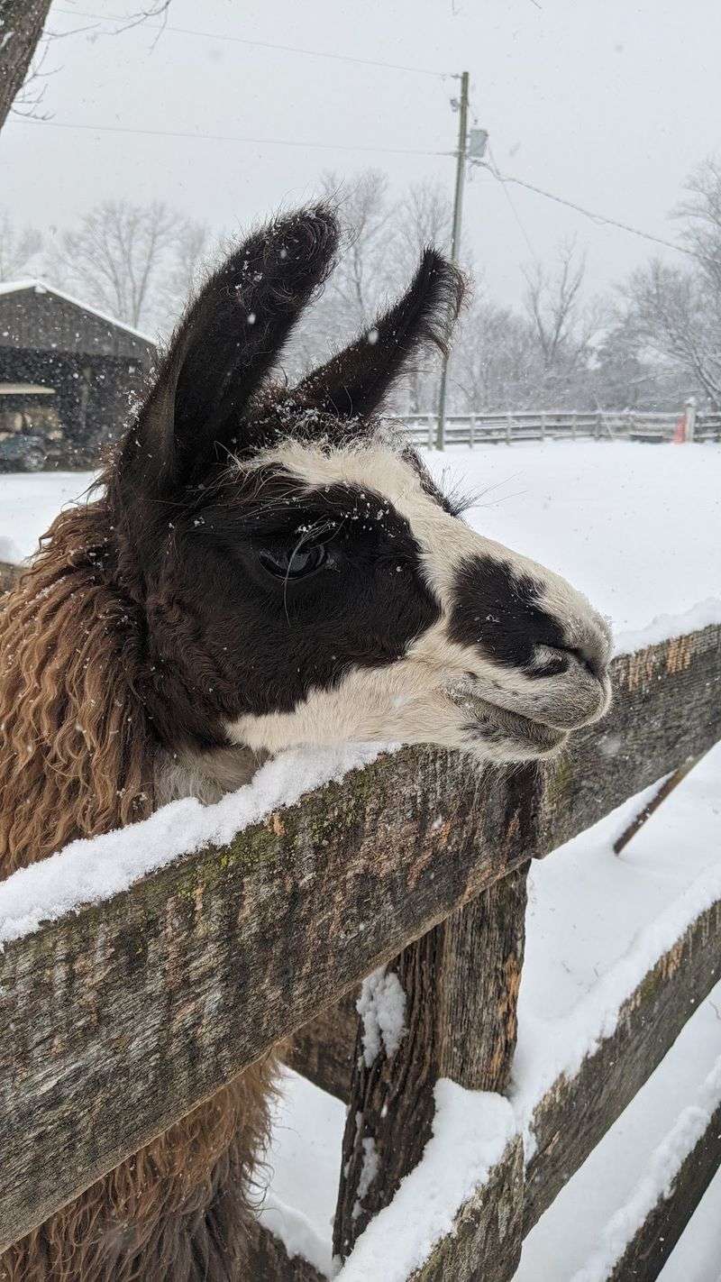 Every Season Brings Something New