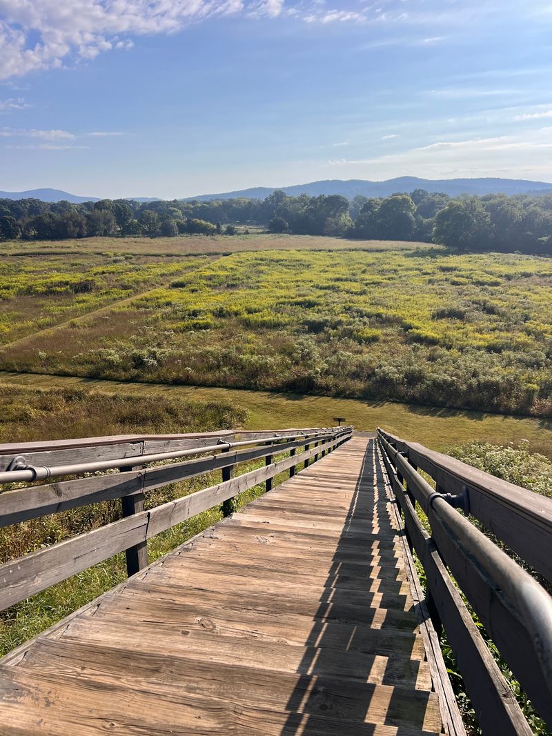 The Nature Trail Along The Etowah River