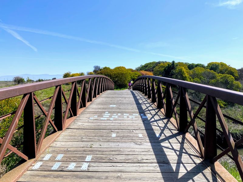 Palo Alto Baylands Trails, Palo Alto