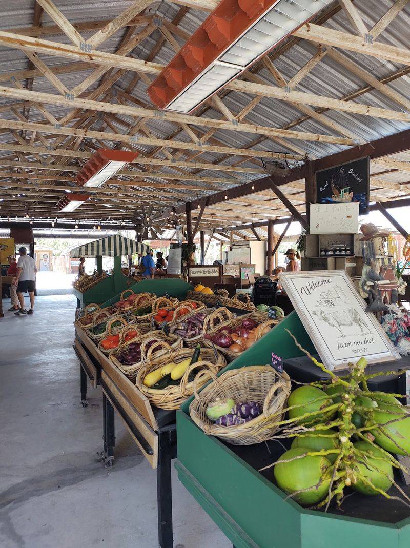 Southern Fresh Farms, Fort Myers