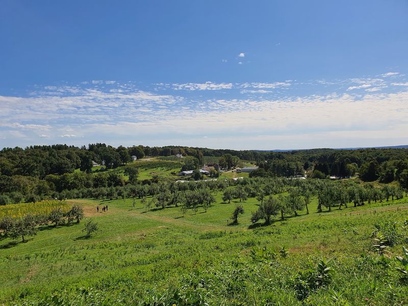 10 Fruit Farms In Connecticut That Belong On Your Summer Bucket List - Decor Hint March Farm, Bethlehem