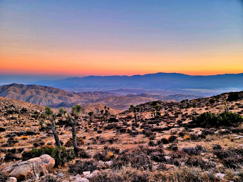 11 Stunning Southern California Day Trips That Cost Less Than $65 - Decor Hint Joshua Tree National Park, Joshua Tree