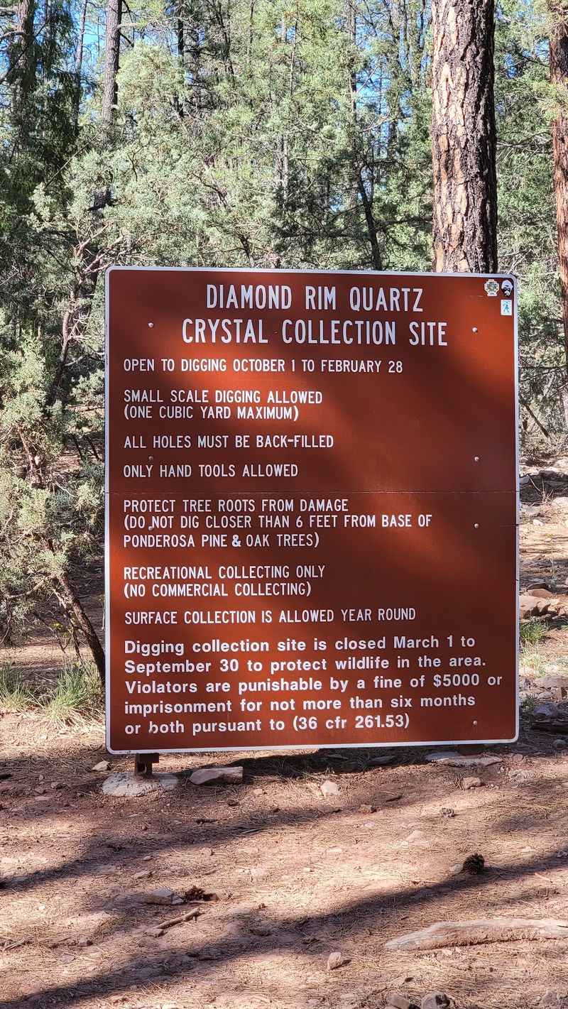 Diamond Point Fossil Collecting Area