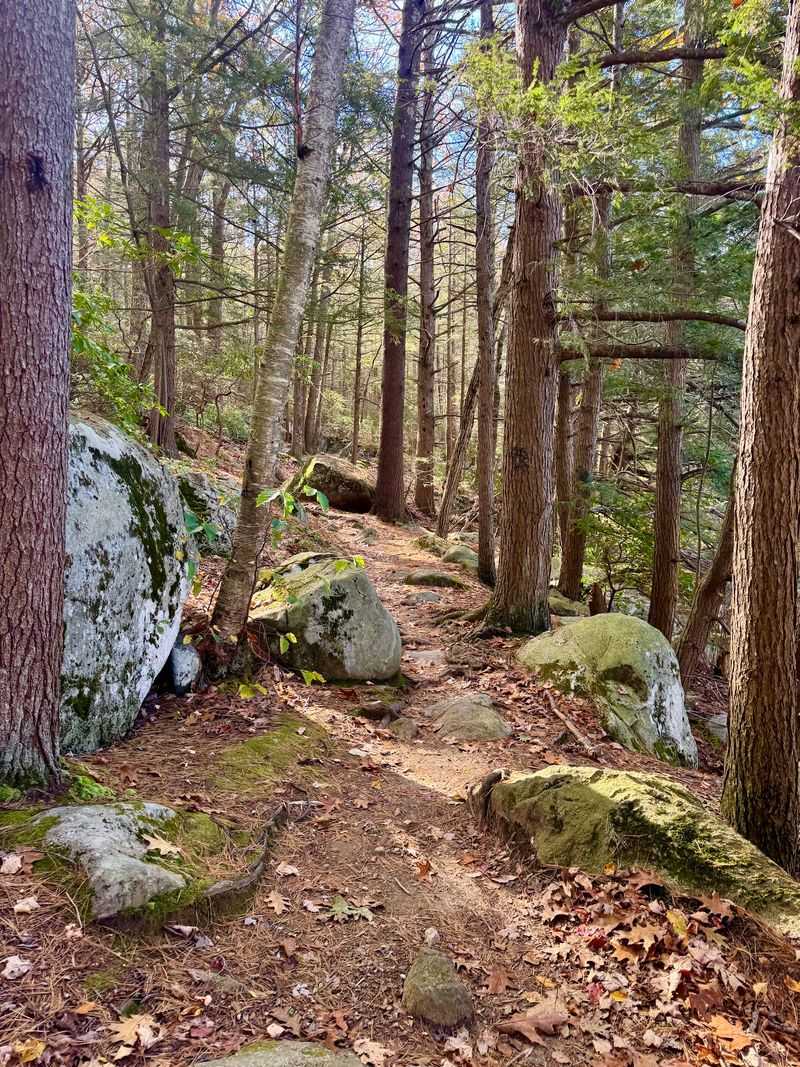 Spend The Day Swimming, Kayaking, And Hiking At One Connecticut Outdoor Escape - Decor Hint Forest Trails Bring A Change Of Pace