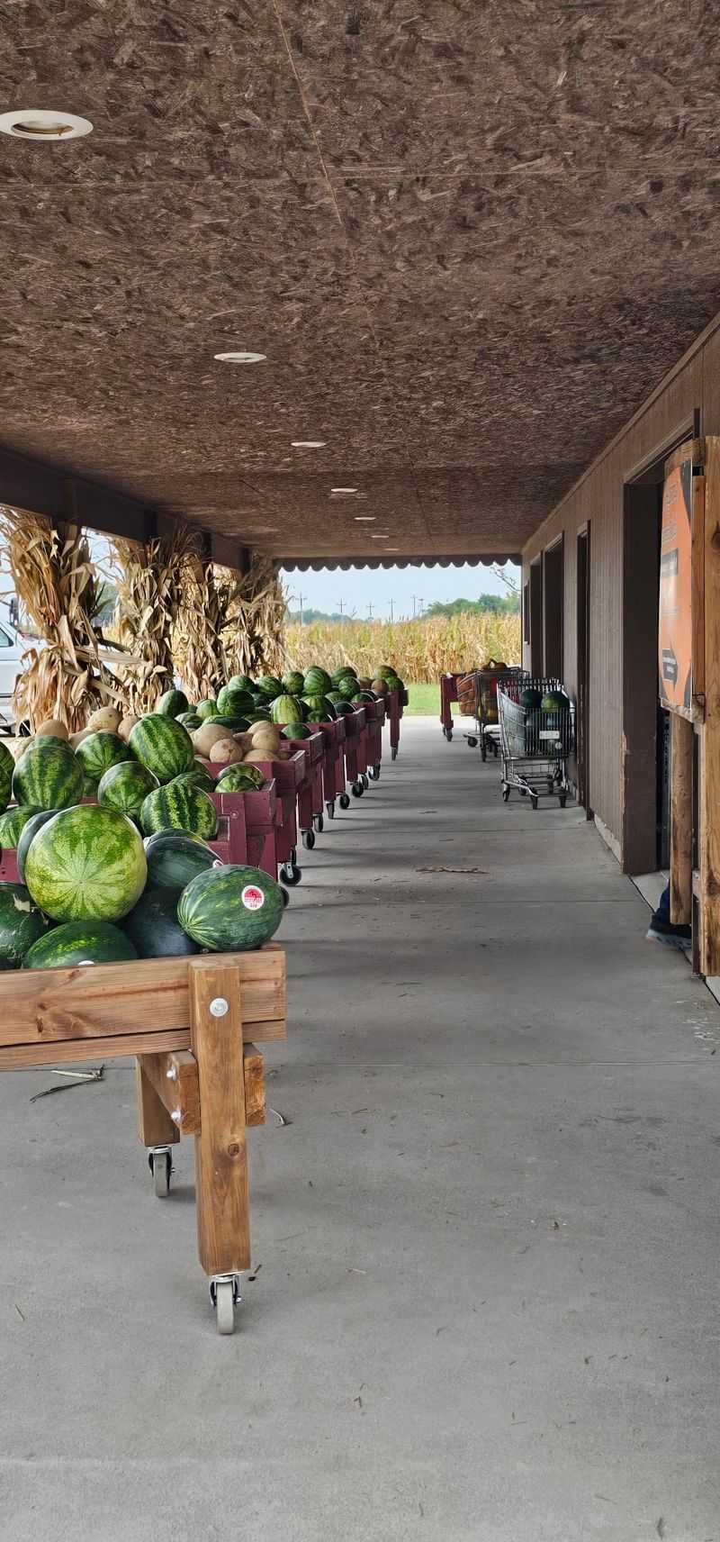 Helgoth's Roadside Market, St Libory