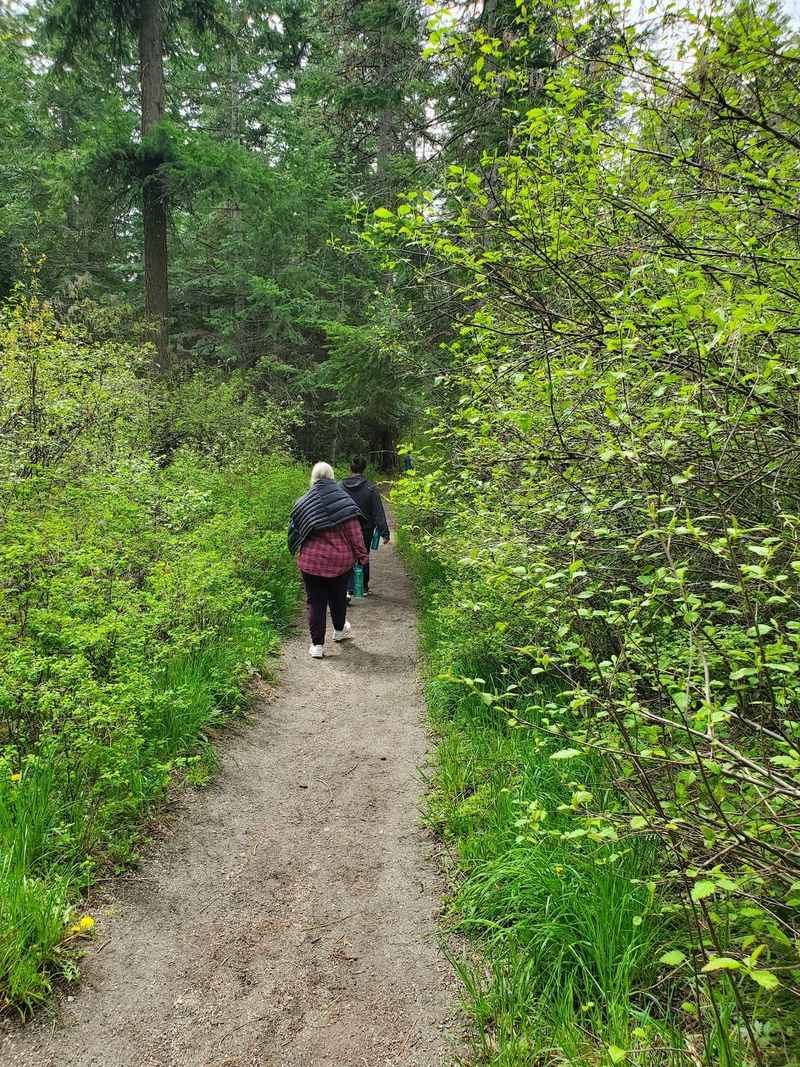 Leave Wondering How Many Hikers Have Walked Right Past It