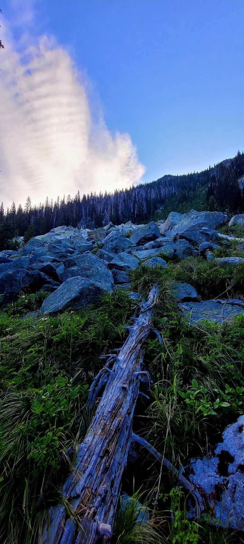 Brokeback Mountain Fans May Do A Double Take On This Remote Idaho Hike - Decor Hint Expect A Tougher Hike Than The Peaceful Alpine Scenery Suggests