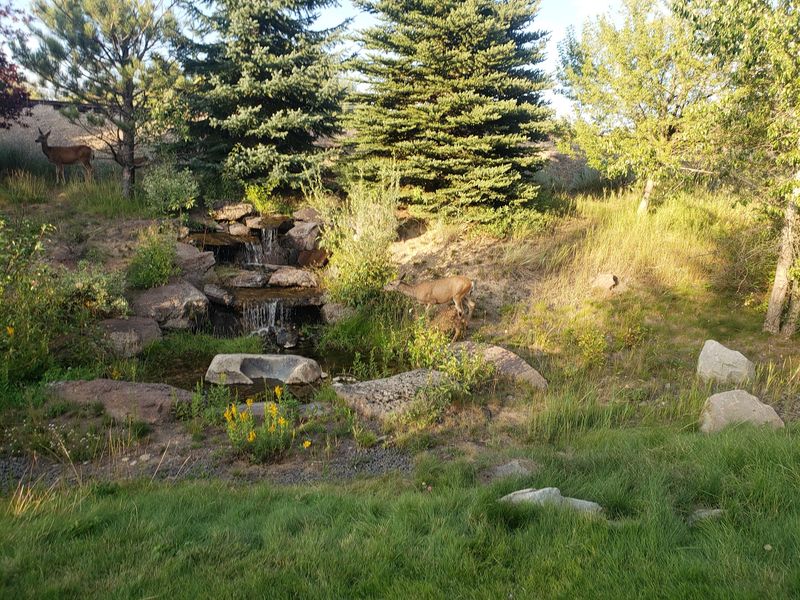 Cascade's Natural Beauty