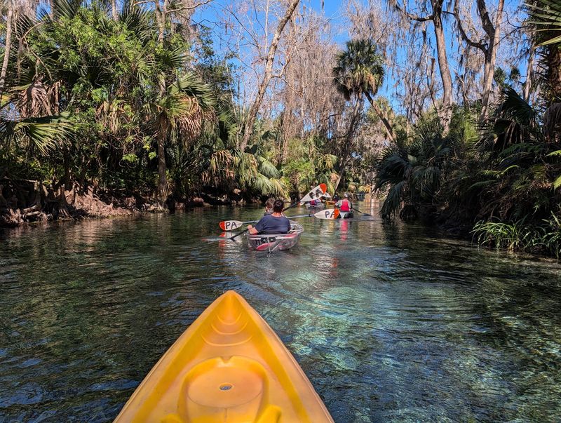 10 Self-Drive Day Trips Around Orlando, Florida Worth Taking - Decor Hint Silver Springs State Park