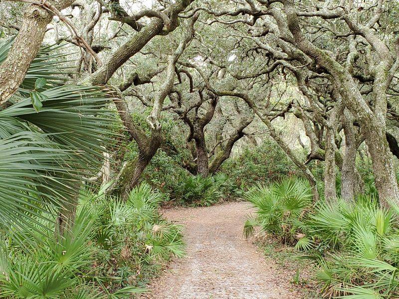 Cumberland Island National Seashore, St. Marys