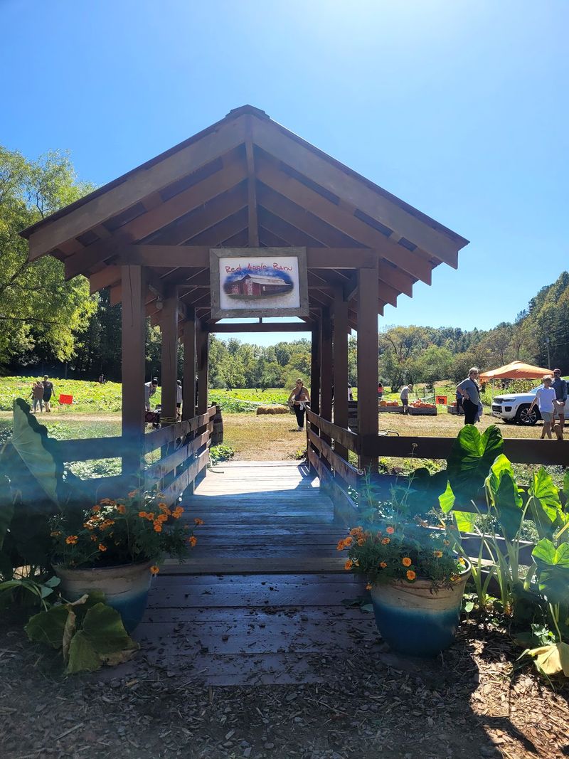 Creekside Picnic Spots And A Little Covered Bridge