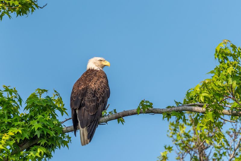 10 Delaware Getaways That Feel Like Quick Escapes Without Topping $50 - Decor Hint Bombay Hook National Wildlife Refuge