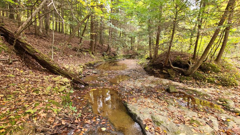 Grayson Lake State Park, Olive Hill