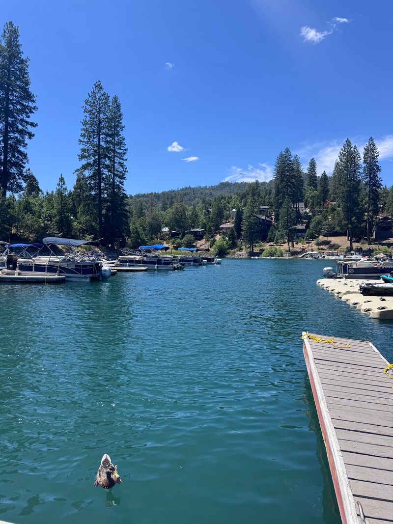 Bass Lake, Near Oakhurst