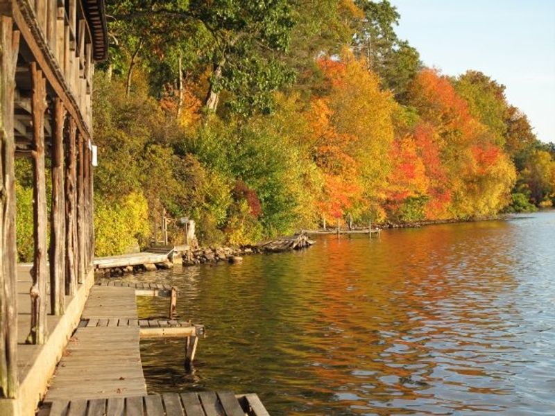 12 Connecticut Escapes That Feel Far More Expensive Than They Are - Decor Hint Pequot Ledge Campground & Cabins, Oakdale