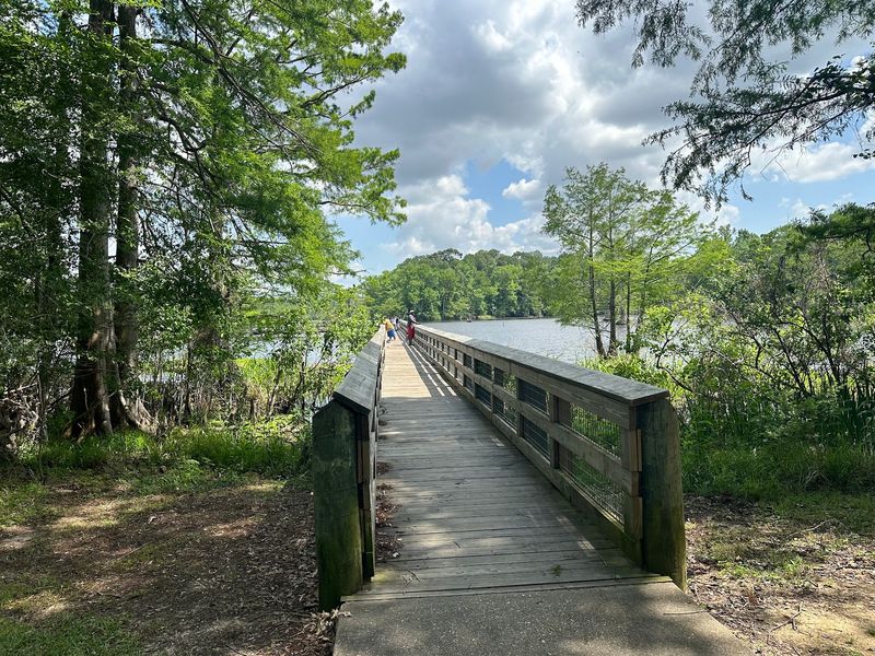 10 Louisiana Day Trips Featuring Swamp Boardwalks And Cajun Food Stops - Decor Hint Chicot State Park, Ville Platte