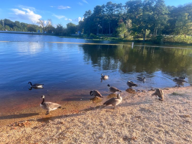 Badin, Badin Lake
