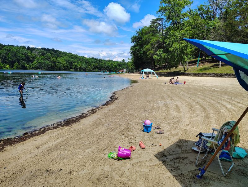 Pennyrile Forest State Park Beach