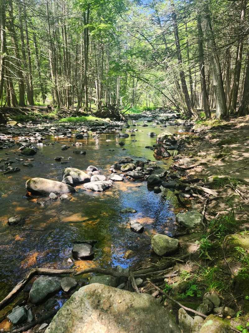 Mashamoquet Brook State Park, Pomfret