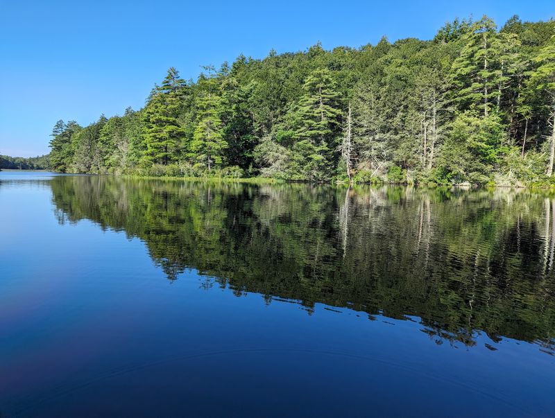 Bigelow Hollow State Park, Union