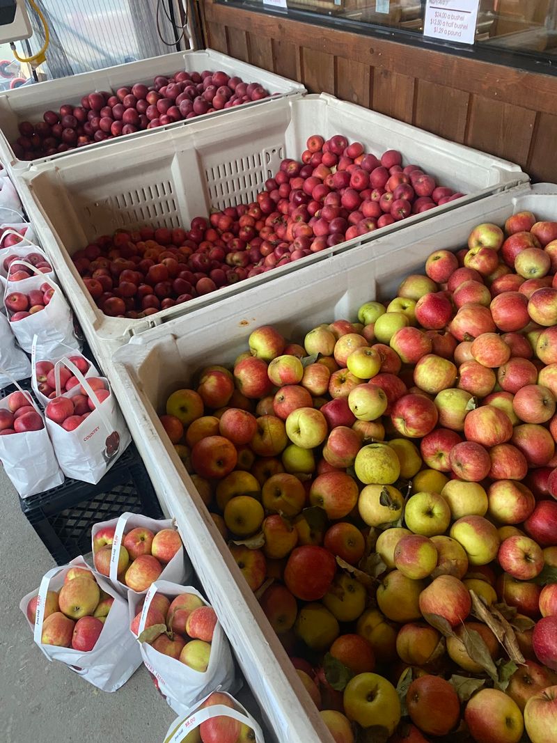 These 9 Kentucky Amish And Mennonite Markets Make Homemade Food Worth The Road Trip - Decor Hint Yoder's Country Market, Hindman