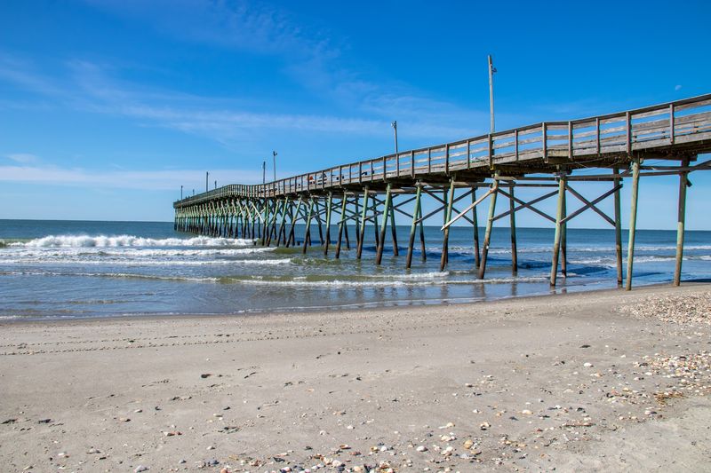 This North Carolina Beach Is One Of The Few Places You Can Hunt For Ancient Sea Biscuits - Decor Hint Leave With A Piece Of Coastal History Millions Of Years Old